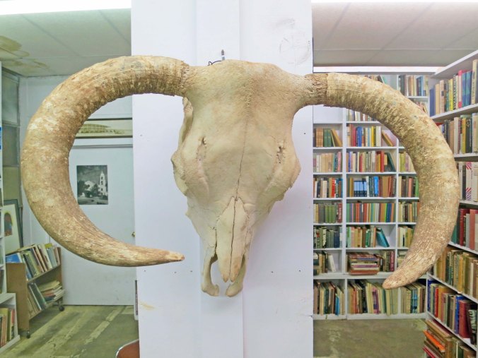 And this skull as well, which I thought was appropriate for a bookstore whose owner had written so many glorious books about the West.