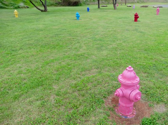 The KOA where Peggy and I stayed in Wichita Falls, Texas, had to have the most imaginative dog walk area I have ever seen.