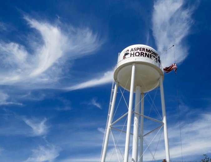 High school sports are very important in the small towns of West Texas. The local team, the Aspermont Hornets, is featured on the town's water tower.