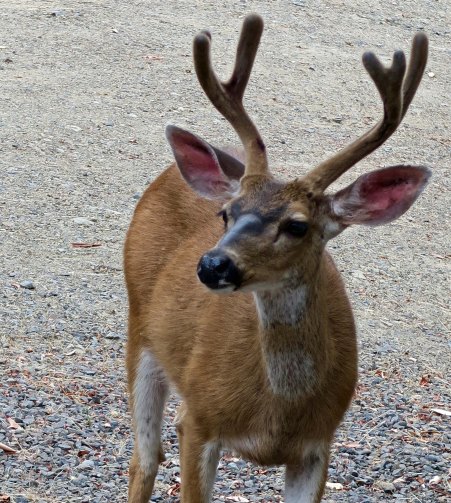 He really is handsome, and seems to know it.