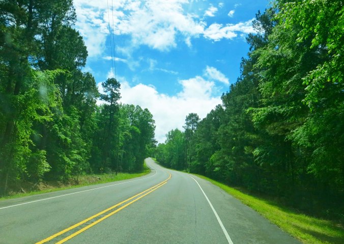 I had never encountered as much roadkill as I did following this attractive highway into Alexandria on my bicycle in 1989. I never did figure out why.