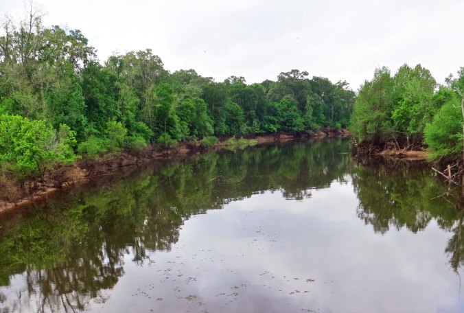 A Louisiana bayou: half river and half swamp. All jungle. Picture a large water moccasin slithering across its smooth surface.
