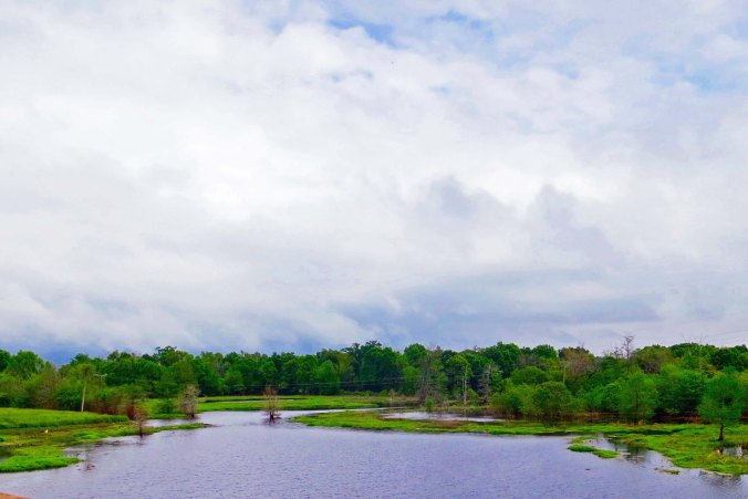 This lake was worth a photo.