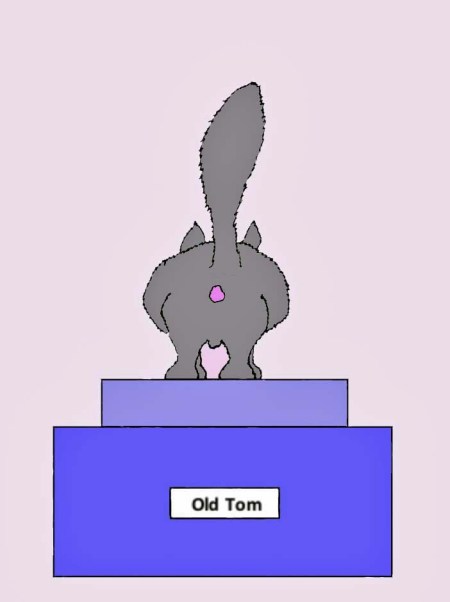 Those of you who have been hanging around my blog for a while know I like to develop weird cards. This is my vision of Old Tom's tombstone.