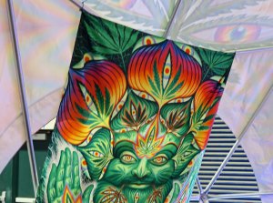 Cannabis art found at the Cannabis Fair in Jackson County, Oregon.