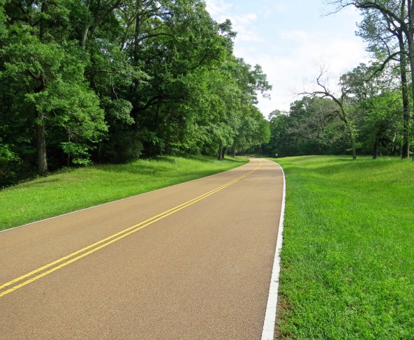 A final view of the Trace for today. Many more will be included in my next three blogs.