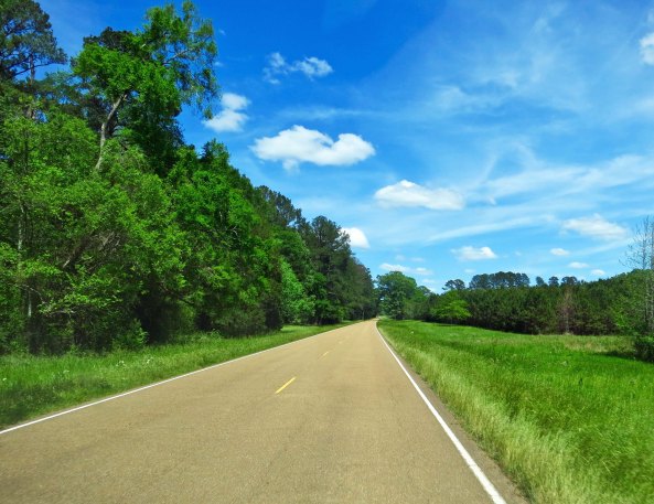 Views along the Trace were constantly changing from being forested to open.