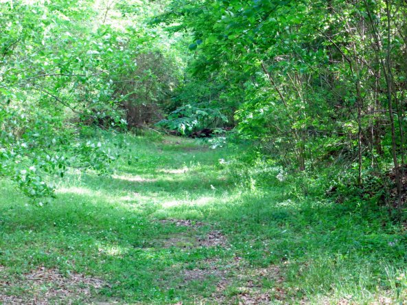 A number of the stops, like this one, include original sections of the trail.