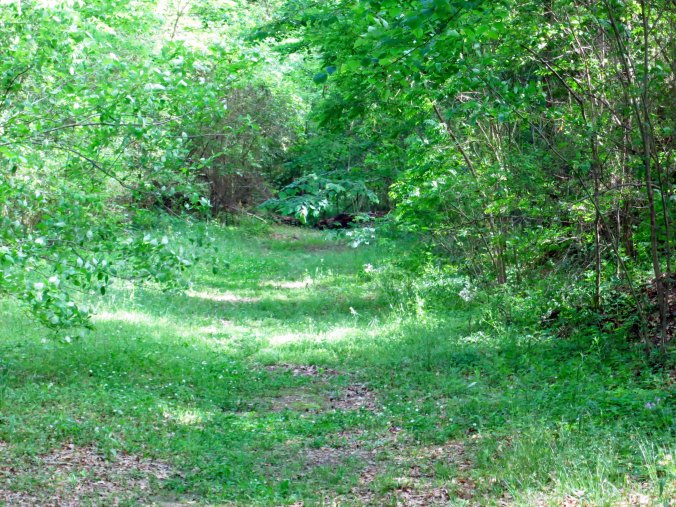 A number of the stops, like this one, include original sections of the trail.