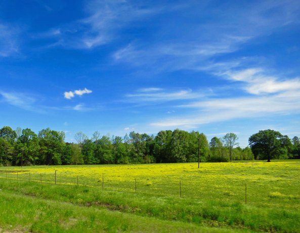 Rich farmlands border some of the Trace.