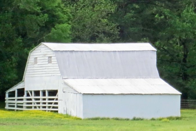 There are a number of barns.