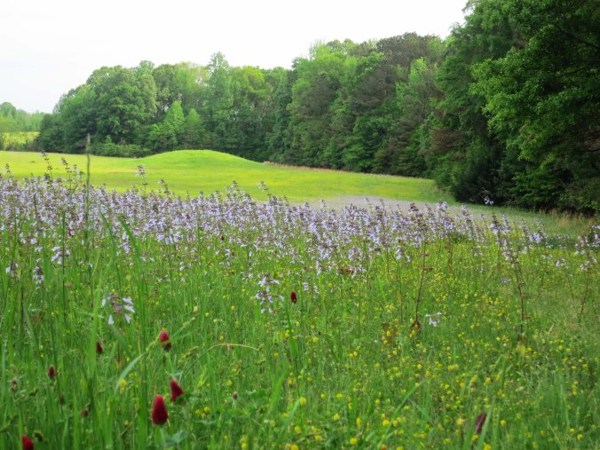 The Pharr Mounds on the Natchez Trace were built around 2000 years ago.