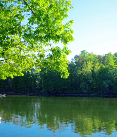 The Tennessee River flows by Dayton, TN where the 1925 Scopes Trail took place.