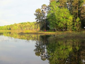 A reflection shot at Tishomingo State Park along the Natchez Trace in northern Mississippi.