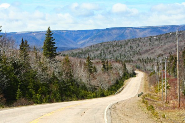 The road leading down to Cape North, which will be the farthest point east I reach on my bike trip.