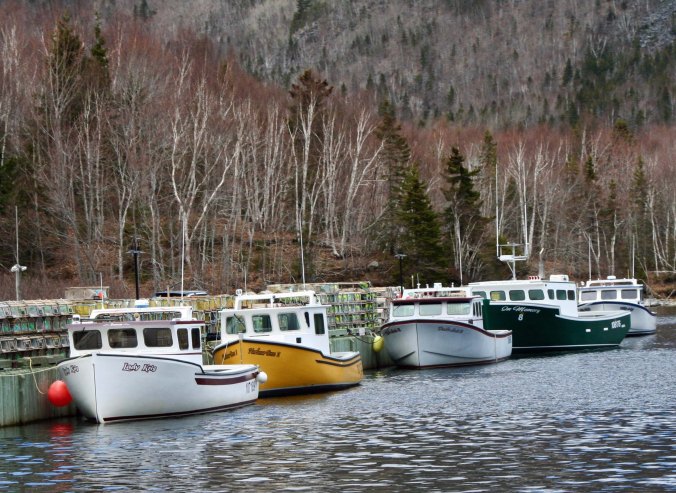 We found these boats near the small town of Ingonish.