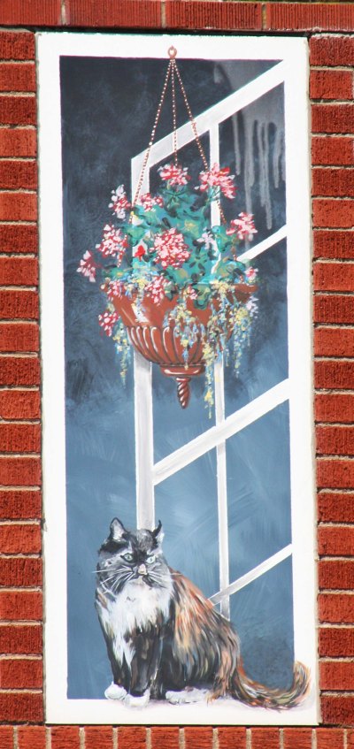 This cat looking out of a window also caught my attention.