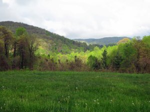 View of Blue Ridge Mountains and meadow along the Blue Ridge Parkway in Virginia.