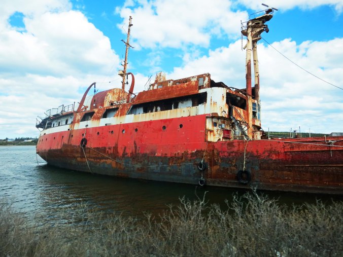 We found what appeared to be a large derelict along the coast.