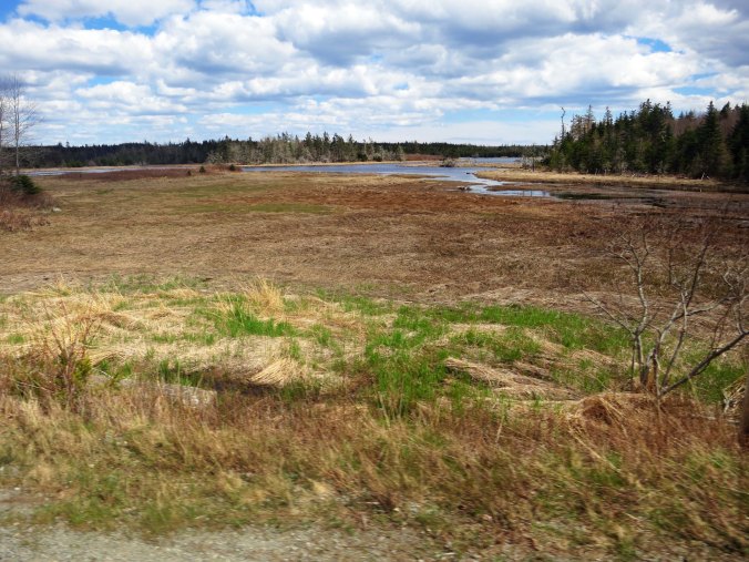 Flats like this one added another element of variety.