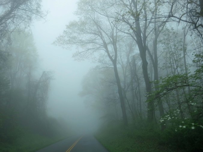 Peggy and I woke up to a foggy morning on our last day of retracing my bike route along the Blue Ridge Parkway. I was glad I wasn't riding my bike.