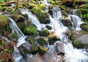 Waterfall in Great Smoky Mountain National Park in North Carolina.