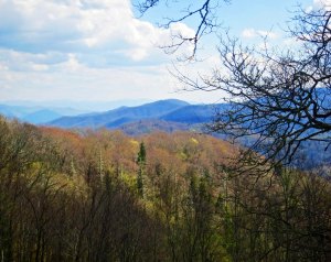 View of Great Smokey Mountains National Park in Tennessee.