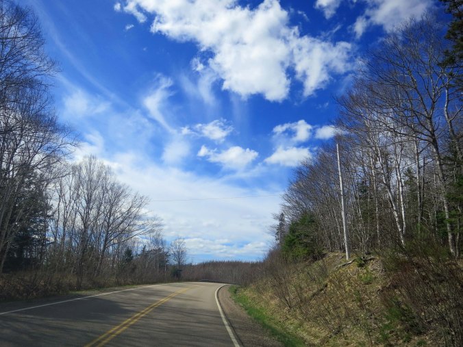 A road shot of Highway 7 