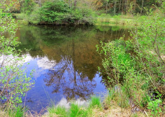 Little Glade Mill Pond on the Blue Ridge Highway.