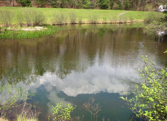 Reflection shot on Little Glade Mill Pond on the Blue Ridge Parkway.