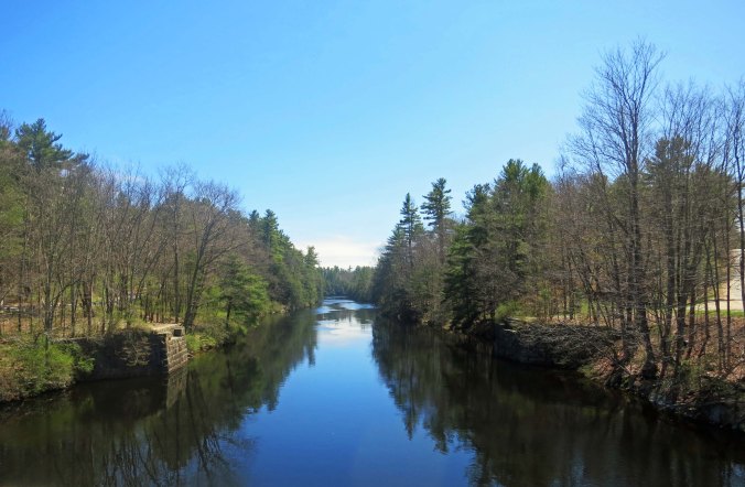 And this dark beauty.