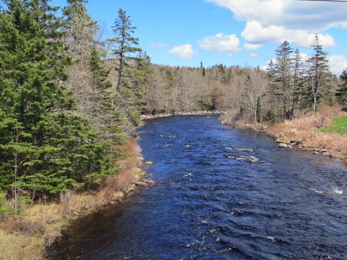 Riffled river on East Coast of Nova Scotia