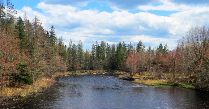 We passed over several river on the East Coast ranging form calm...