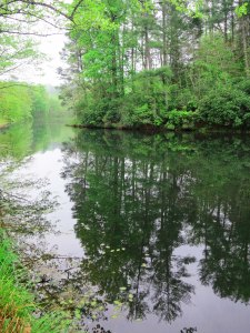 Otter Lake on the Blue Ridge Parkway in Virginia.