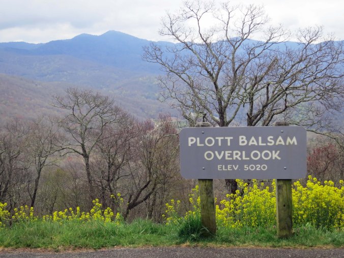 The Blue Ridge Mountains provide numerous opportunities to pull off the road and admire the scenery. Plot was an early pioneer who became famous for breeding bear hunting dogs. Once, according to legend, his dogs cornered a bear in a small cave. Lott went in after the bear with his knife. He won the encounter but the bear clawed him extensively. It was the last time Lott went after a bear with his knife.