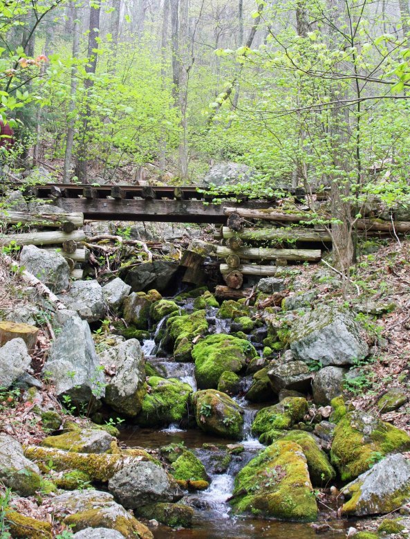Railroad bridge for the Irish Creek railroad found along the Blue Ridge Parkway in Virginia.
