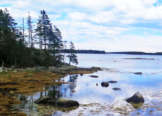 Cove on East Coast of Nova Scotia