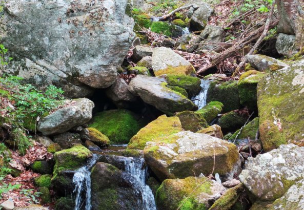 Small creek along the Irish Creek Railroad next the the Blue Ridge Parkway in Virginia.
