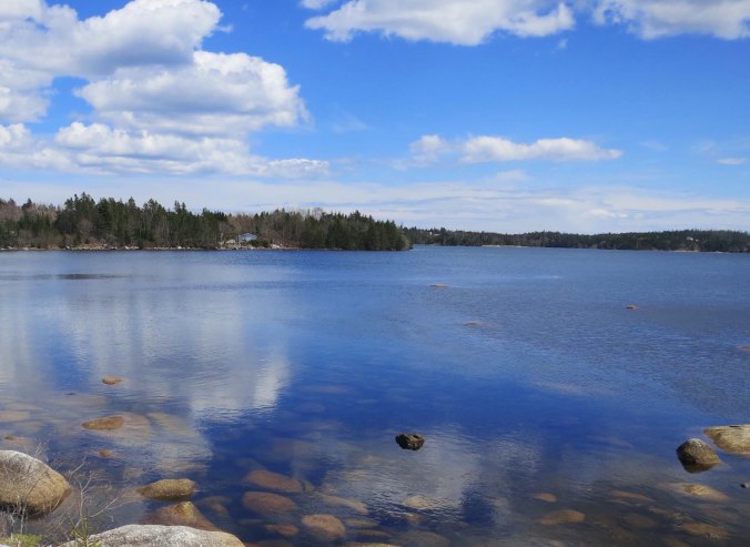 Numerous islands fill the coves along Marine Drive.
