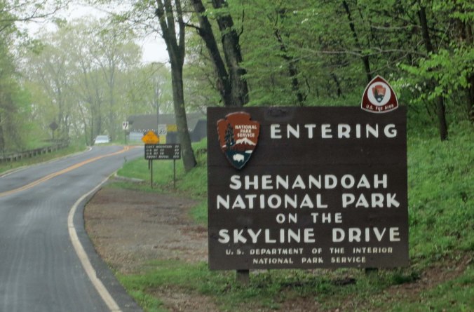 Skyline Drive provides the same beauty, lack of commercial traffic and slow speed limit as found on the Blue Ridge Parkway, without the severe ups and downs.