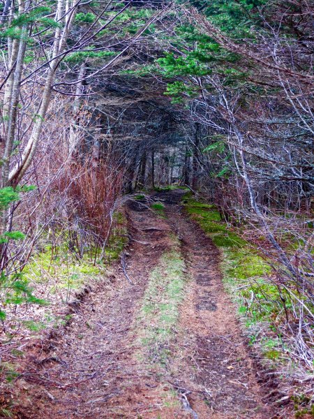 We found this mysterious 'road less traveled' along the Evangeline Trail.