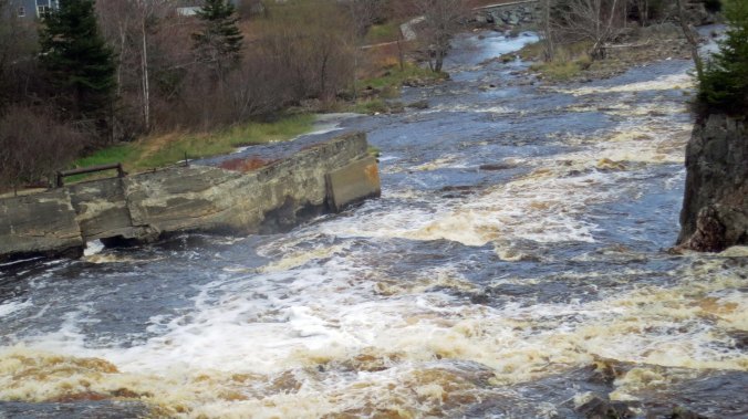 To roaring. The West River flows into Sheet Harbor.