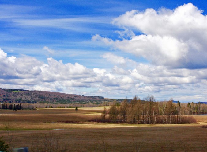 Scenic views along the way included open fields...
