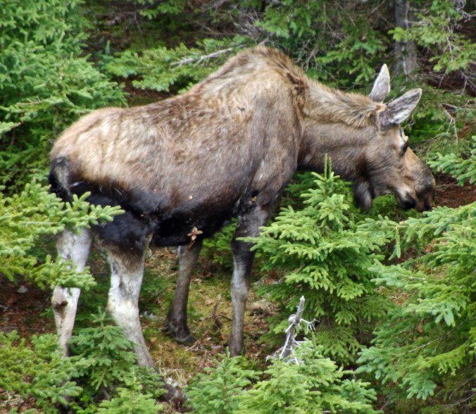 Finally, we got to see one.