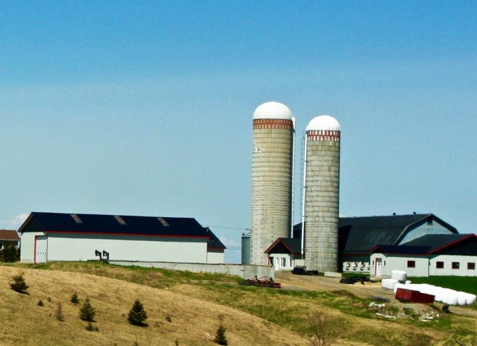 The gentler terrain supported large farms...