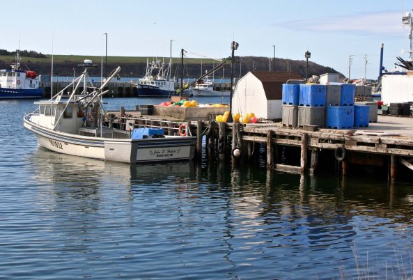 Leaving the Highlands, we came on several small communities along the coast where fishing is a major industry. Whale watching is also popular off the coast.