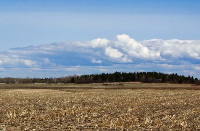 And wide open country.