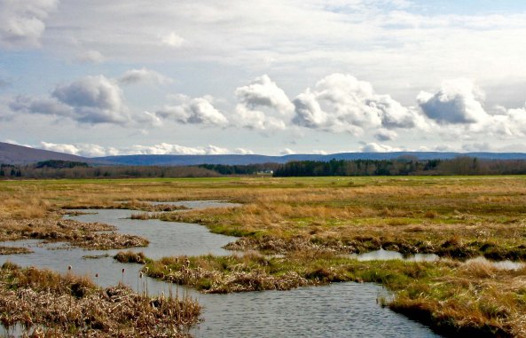 The Cabot Trail heads inland across much flatter country. Spring waters still flooded this field.