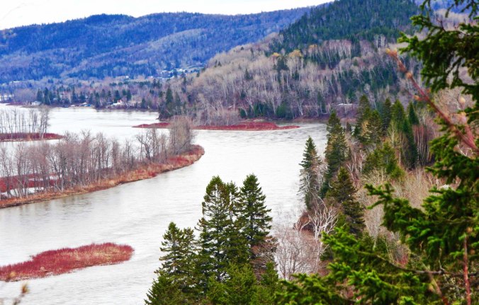 The Restigouche River widening out before it flows into Chaleur Bay.