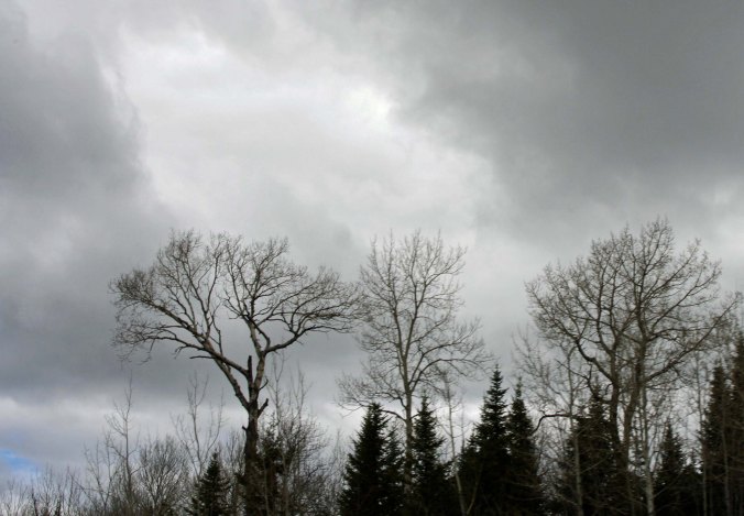 Another view along New Brunswick 134.